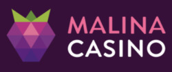 site logo